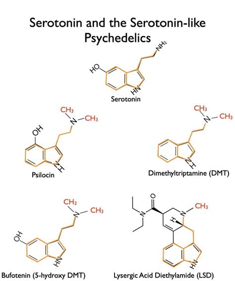 what are psychedelics structurally similar to